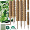 Moss Pole 58.7 Inch by Fabulas