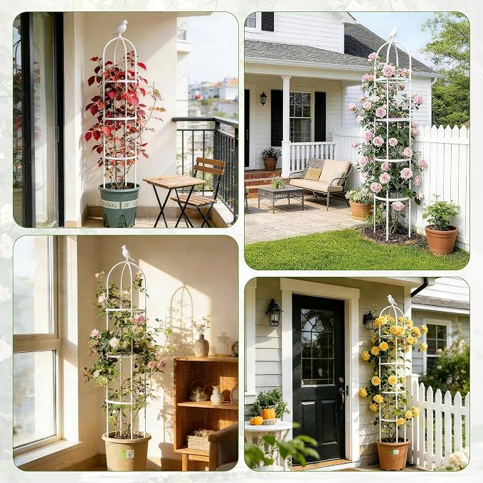 6ft Garden Obelisk Trellis for Climbing Plants-Rustproof Metal Pipe - Image 8