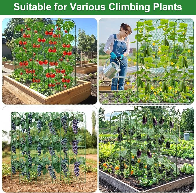 Cucumber Trellis for Raised Bed 5.4x5.5ft U-Shape Adjust Metal Garden Trellis - Image 6