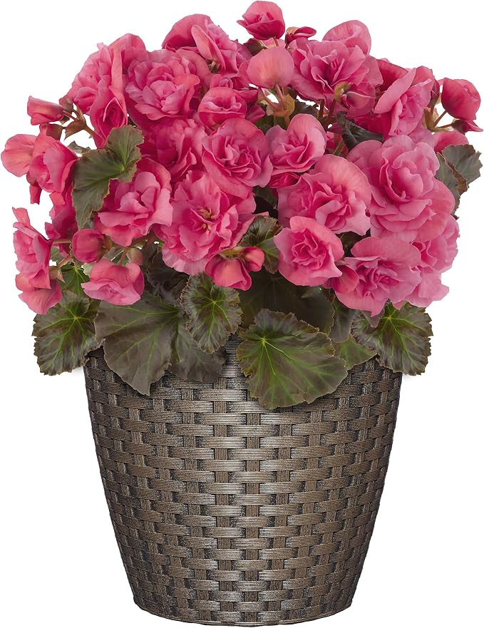 Classic Home & Garden Nantucket 8" Planter - Image 2