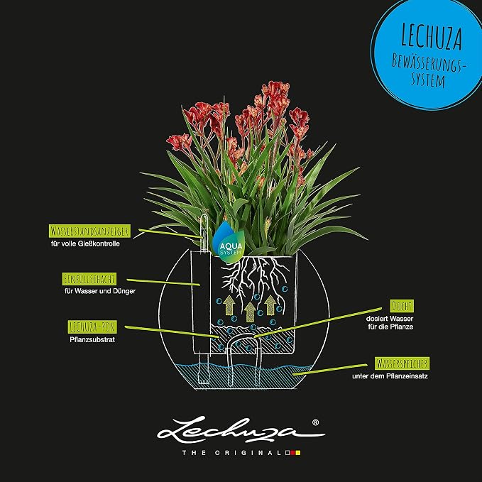 Lechuza Puro Color 20 White, Self-Watering Small Indoor Planter, D7.9 H6.3 in - Image 5