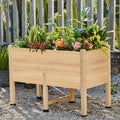 AMERLIFE 4x2 Ft Raised Garden Bed by AMERLIFE