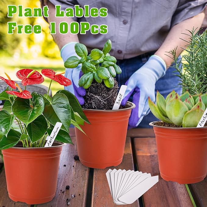 TDHDIKE 6 Inch Plastic Plant Nursery Pots Seedling Flower Plant Container Seed - Image 4