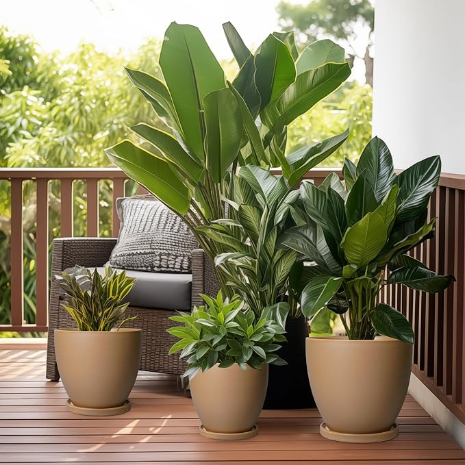 Ceramic Pots for Plants - Image 7