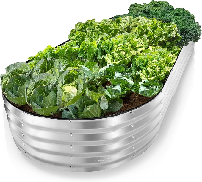 Plant & Plot Galvanized Raised Garden Beds Outdoor // 8×4×1 ft Planter Raised by PlantPlot