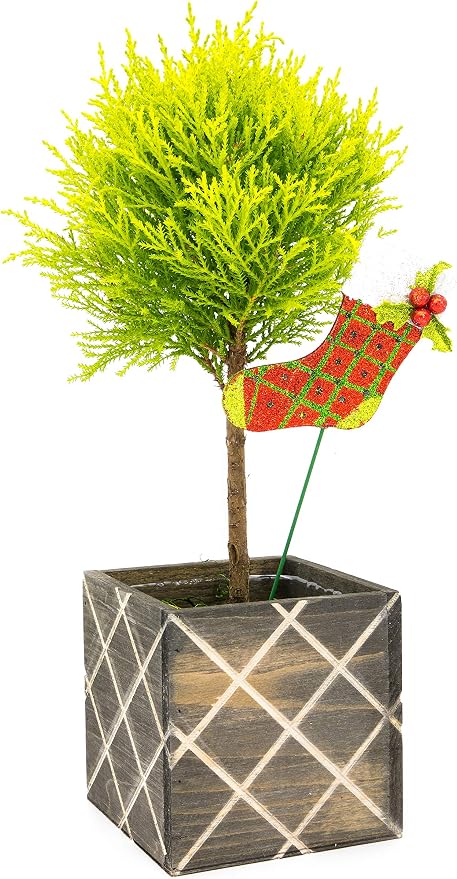 Wood Planter Box with Diamond Cross Hatch Style, 5 Inch Square, Rustic Barn Wood - Image 8