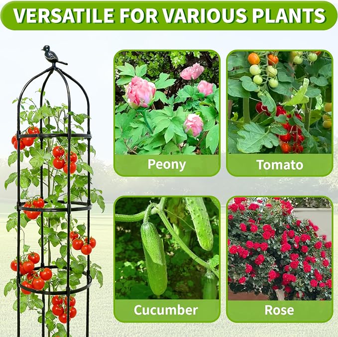 6FT Garden Obelisk Trellis for Climbing Plants, Adjustable 4-Tier Metal Plant - Image 6