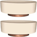 The HC Companies 8 Inch Round Plastic Succulent Capri Bowl Decorative Indoor by TheHCCompanies