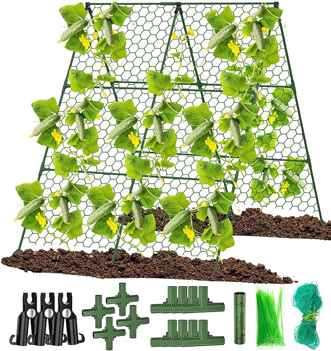 Cucumber Trellis, Foldable Trellis Cucumber by DSTANA