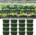 Maxona Vertical Garden Planter by Maxona