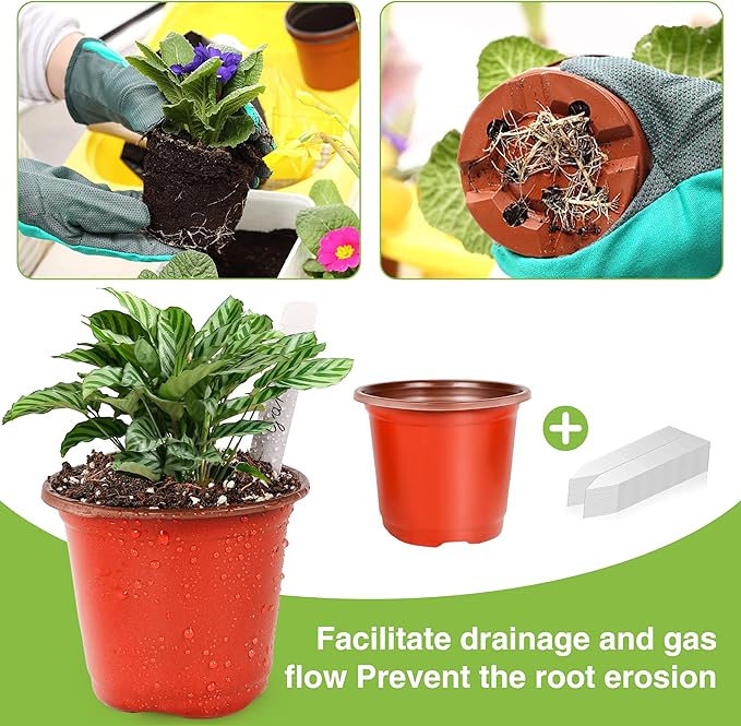 Plant Nursery Pot/Pots 100 Pcs 6" Plastic Small Plants Pots Flower Pots Seed - Image 4