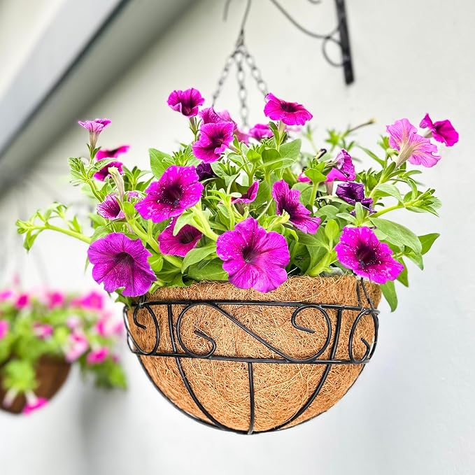 LaLaGreen Hanging Baskets for Plant Outdoor Large Black Metal Wire Hanging by L%C3%A1L%C3%A1Green