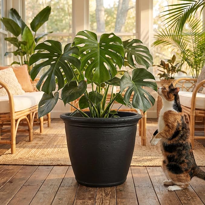 Sunnydaze 20-Inch Anjelica Large Plastic Pot - Image 8