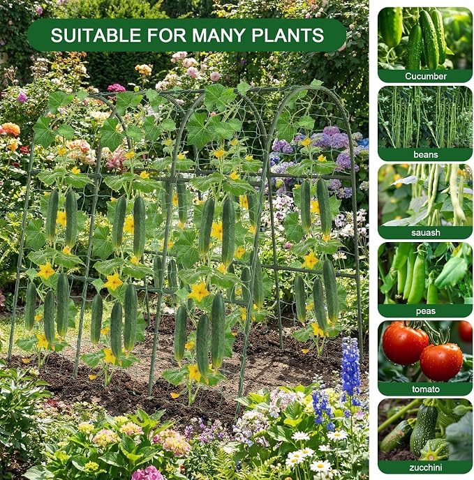 Cucumber Trellis for Raised Bed - Image 7
