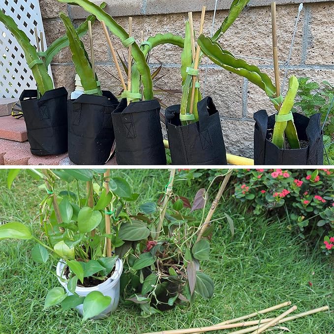 50Pcs / 16 inch Bamboo Plant Stakes - Image 6