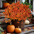 Artificial Fall Flowers Outdoor Fake Mums by AXYLEX