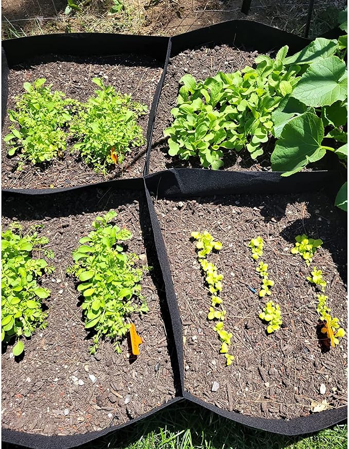 CJGQ Fabric Raised Garden Bed 6x3x1ft Garden Grow Bed Bags - Image 7