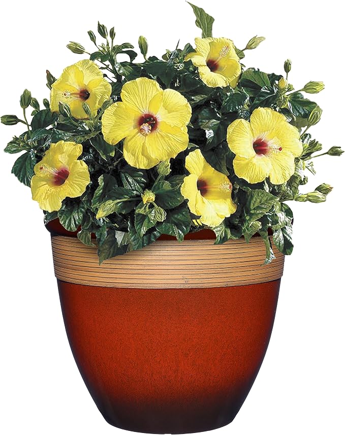 Classic Home and Garden Premiere Collection Planter, Abigail 15", Lava Red - Image 2