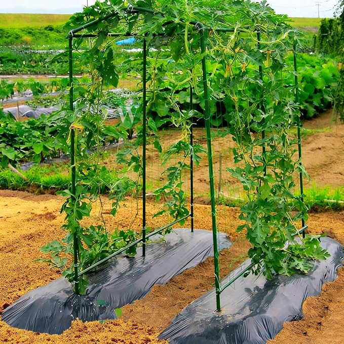 Xiny Tool Garden Stakes, 15 Pack 8 FT Steel Plant Garden Tomato Stakes - Image 5