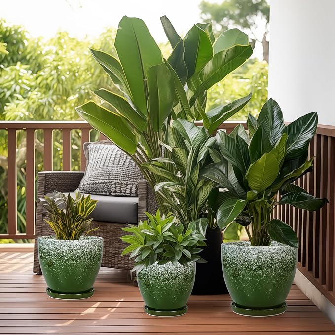 Ceramic Pots for Plants - Image 5