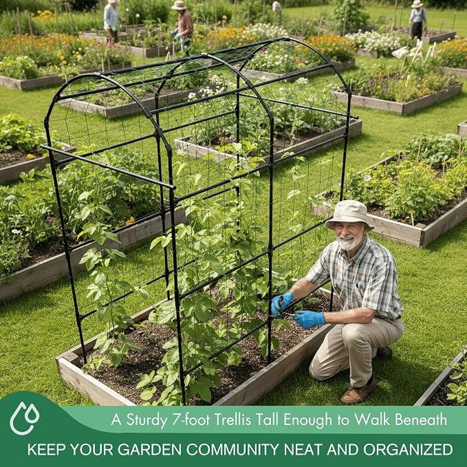 Garden Trellis Arch 7FT PP-Coated Stainless Steel Metal Extra Tall Cucumber - Image 2