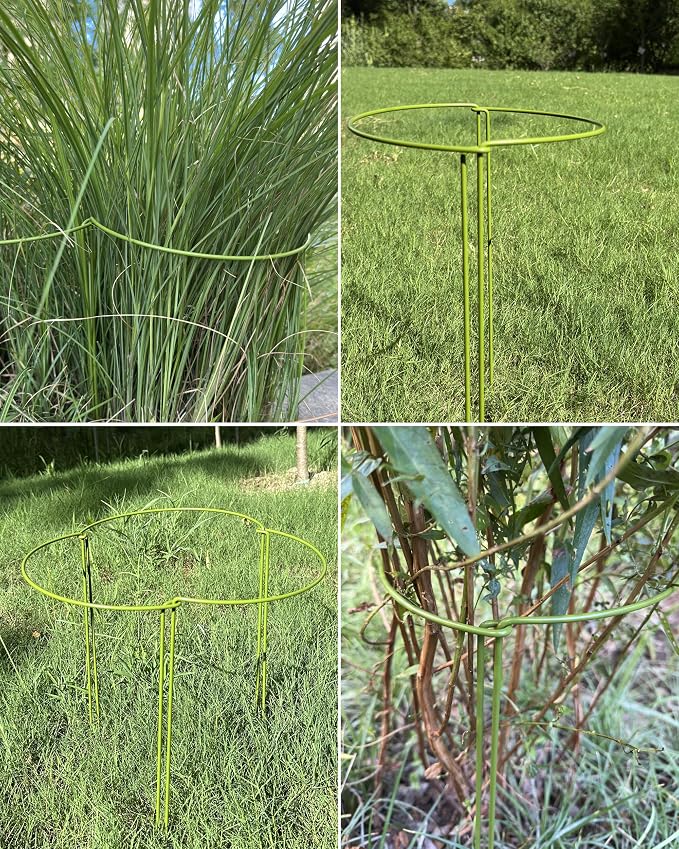 10-Pack Plant Support Stakes, Heavy Duty Steel Plant Stakes as Monstera Plant - Image 4