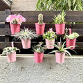LaLaGreen Railing Planters Outdoor -10 Pack, 4 Inch Metal Hanging Flower Bucket by L%C3%A1L%C3%A1Green