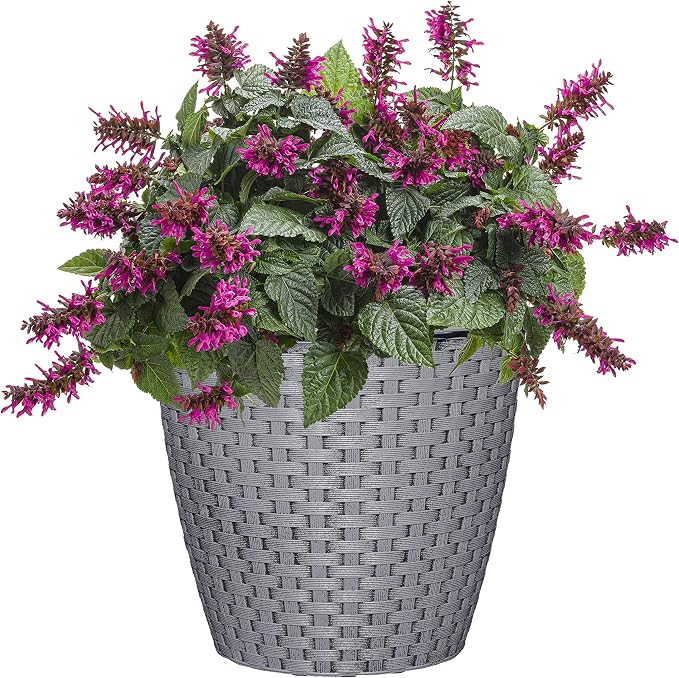 Classic Home and Garden Nantucket Planter - Image 2