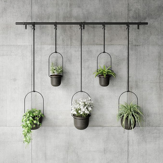 Umbra Triflora Hanging Planter for Window, Indoor Herb Garden - Image 7